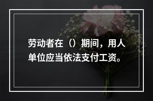 劳动者在（）期间，用人单位应当依法支付工资。