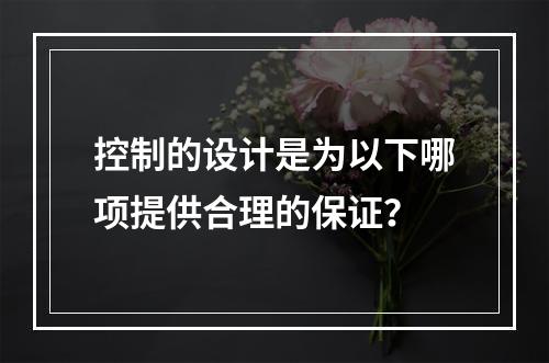 控制的设计是为以下哪项提供合理的保证？