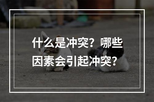 什么是冲突？哪些因素会引起冲突？