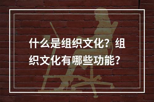 什么是组织文化？组织文化有哪些功能？