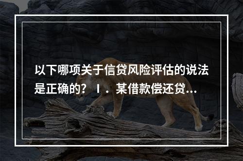 以下哪项关于信贷风险评估的说法是正确的？Ⅰ．某借款偿还贷款的