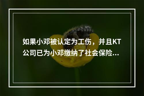 如果小邓被认定为工伤，并且KT公司已为小邓缴纳了社会保险费，