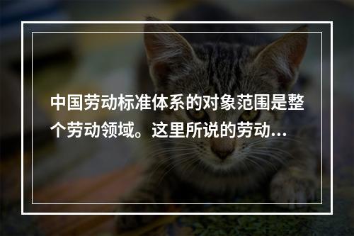 中国劳动标准体系的对象范围是整个劳动领域。这里所说的劳动领域