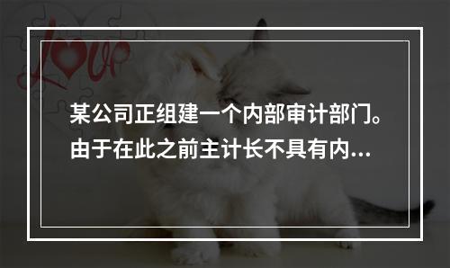 某公司正组建一个内部审计部门。由于在此之前主计长不具有内部审