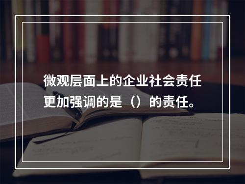 微观层面上的企业社会责任更加强调的是（）的责任。