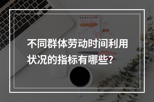 不同群体劳动时间利用状况的指标有哪些？