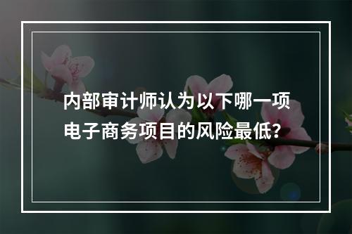 内部审计师认为以下哪一项电子商务项目的风险最低？