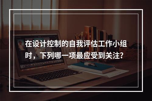 在设计控制的自我评估工作小组时，下列哪一项最应受到关注？