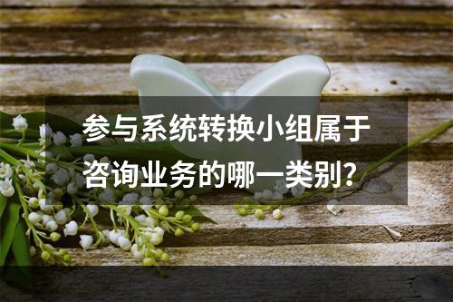 参与系统转换小组属于咨询业务的哪一类别？