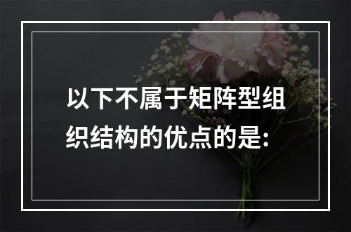 以下不属于矩阵型组织结构的优点的是: