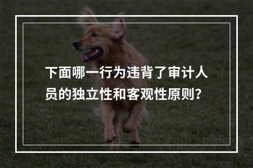 下面哪一行为违背了审计人员的独立性和客观性原则？