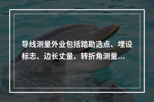 导线测量外业包括踏勘选点、埋设标志、边长丈量、转折角测量和(