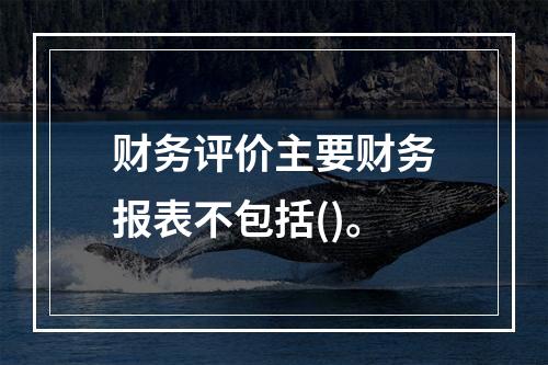 财务评价主要财务报表不包括()。