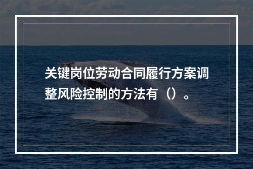 关键岗位劳动合同履行方案调整风险控制的方法有（）。