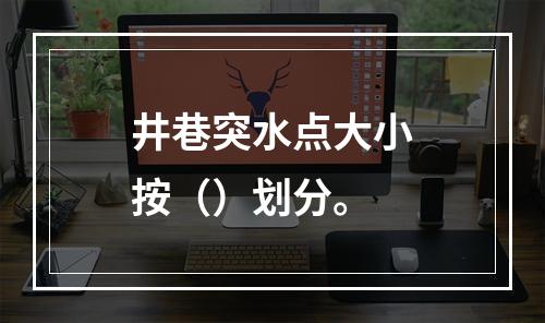 井巷突水点大小按（）划分。