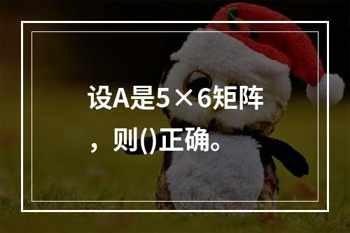 设A是5×6矩阵，则()正确。