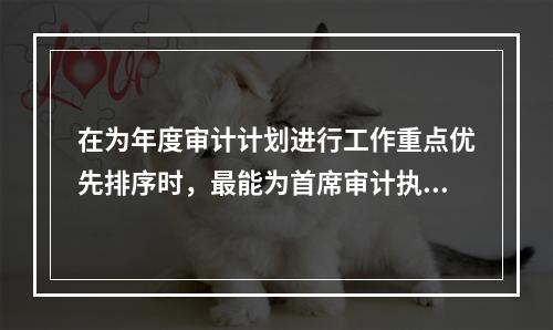 在为年度审计计划进行工作重点优先排序时，最能为首席审计执行官