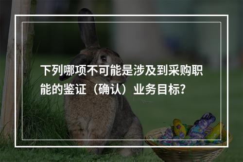 下列哪项不可能是涉及到采购职能的鉴证（确认）业务目标？