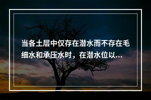 当各土层中仅存在潜水而不存在毛细水和承压水时，在潜水位以下的