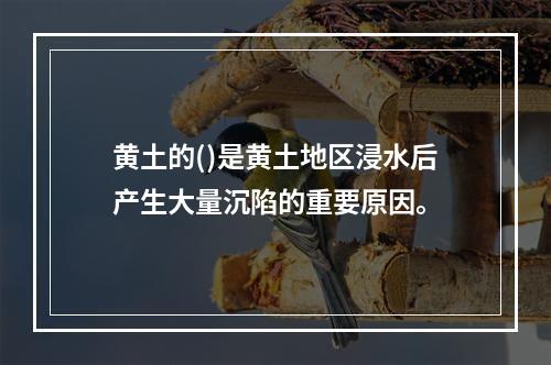 黄土的()是黄土地区浸水后产生大量沉陷的重要原因。