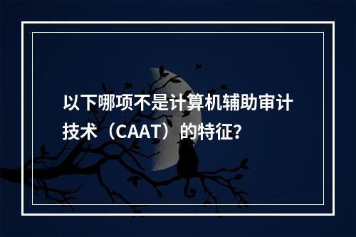 以下哪项不是计算机辅助审计技术（CAAT）的特征？