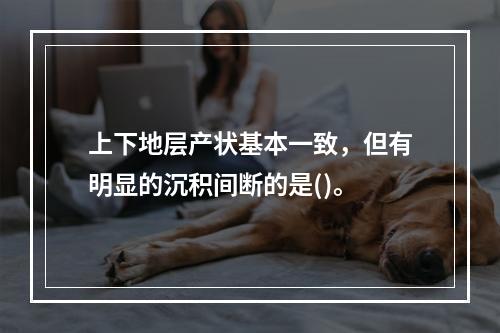 上下地层产状基本一致，但有明显的沉积间断的是()。