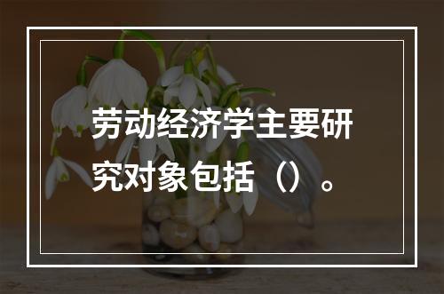 劳动经济学主要研究对象包括（）。