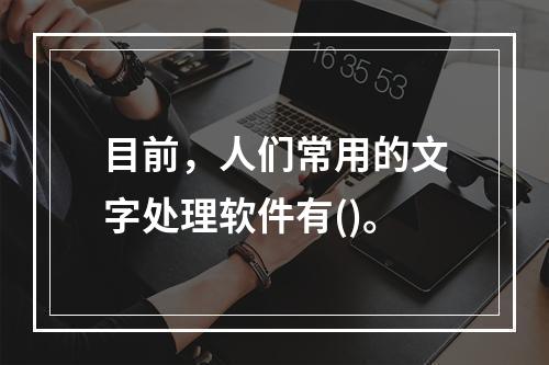 目前，人们常用的文字处理软件有()。