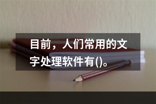 目前，人们常用的文字处理软件有()。