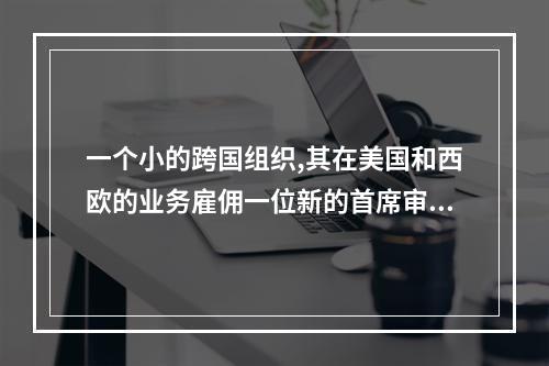 一个小的跨国组织,其在美国和西欧的业务雇佣一位新的首席审计执