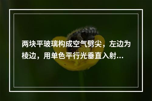 两块平玻璃构成空气劈尖，左边为棱边，用单色平行光垂直入射，若