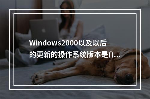 Windows2000以及以后的更新的操作系统版本是()。