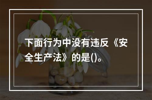 下面行为中没有违反《安全生产法》的是()。