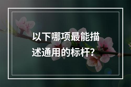 以下哪项最能描述通用的标杆？