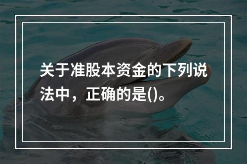 关于准股本资金的下列说法中，正确的是()。