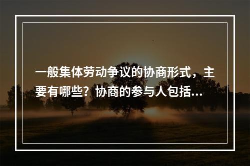 一般集体劳动争议的协商形式，主要有哪些？协商的参与人包括哪些