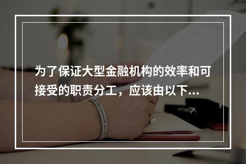 为了保证大型金融机构的效率和可接受的职责分工，应该由以下哪位