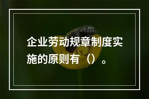 企业劳动规章制度实施的原则有（）。