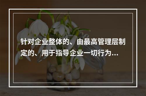 针对企业整体的、由最高管理层制定的、用于指导企业一切行为纲领