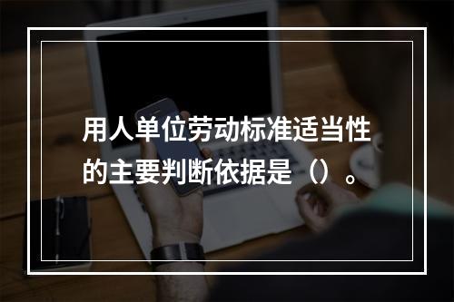 用人单位劳动标准适当性的主要判断依据是（）。