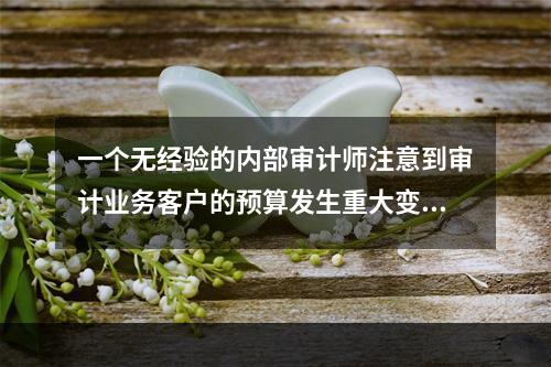 一个无经验的内部审计师注意到审计业务客户的预算发生重大变化。