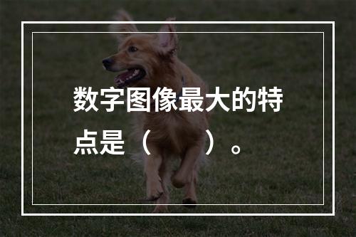 数字图像最大的特点是（　　）。