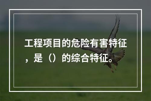 工程项目的危险有害特征，是（）的综合特征。