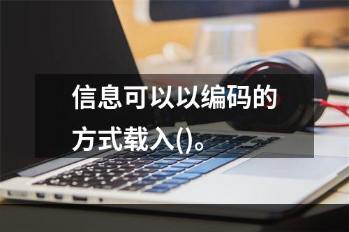 信息可以以编码的方式载入()。