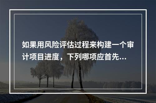 如果用风险评估过程来构建一个审计项目进度，下列哪项应首先得到