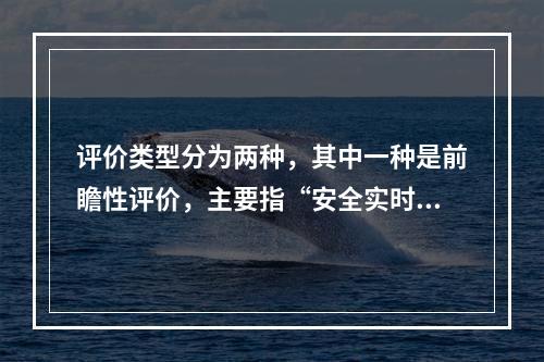 评价类型分为两种，其中一种是前瞻性评价，主要指“安全实时评价