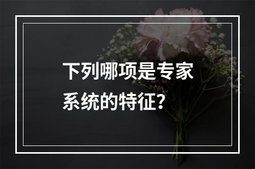 下列哪项是专家系统的特征？