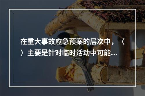 在重大事故应急预案的层次中，（）主要是针对临时活动中可能出现