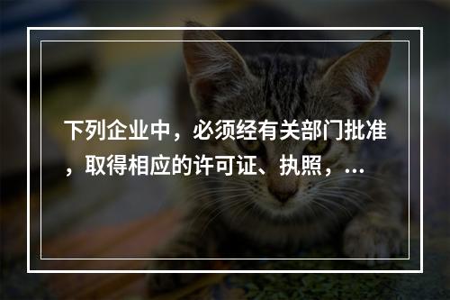 下列企业中，必须经有关部门批准，取得相应的许可证、执照，方准