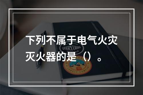 下列不属于电气火灾灭火器的是（）。